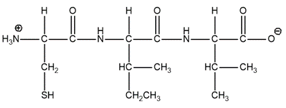 Chemical structure of a peptide with amino acid side chains, relevant to the topic of peptides.