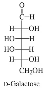 Fischer projection of d-galactose, showing its molecular structure and functional groups.