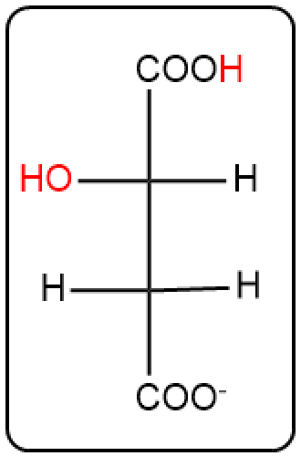 Structure of a product in the citric acid cycle, indicating water atoms added in step 7.