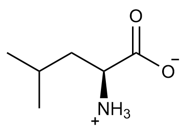 Zwitterion structure of leucine at pI 6.0, showing positive and negative charges.