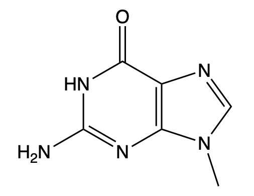 Chemical structure of adenine, a purine nitrogenous base.