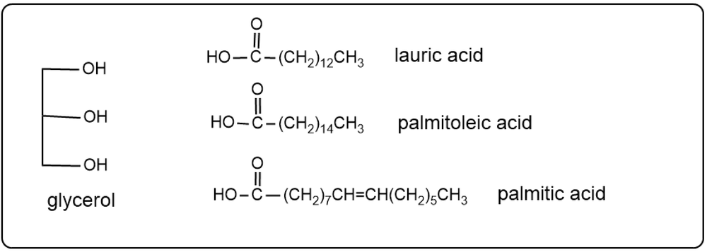 Products of saponification: lauric acid, palmitoleic acid, and palmitic acid.