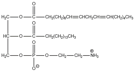 Chemical structure of a cephalin glycerophospholipid with components labeled.