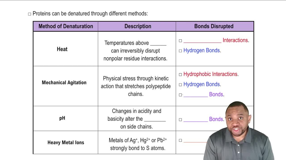Protein Denaturation Concept 2