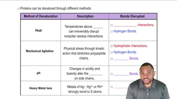 Protein Denaturation Concept 2