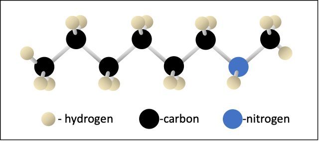 Molecular structure of a secondary amine with carbon, hydrogen, and nitrogen atoms.