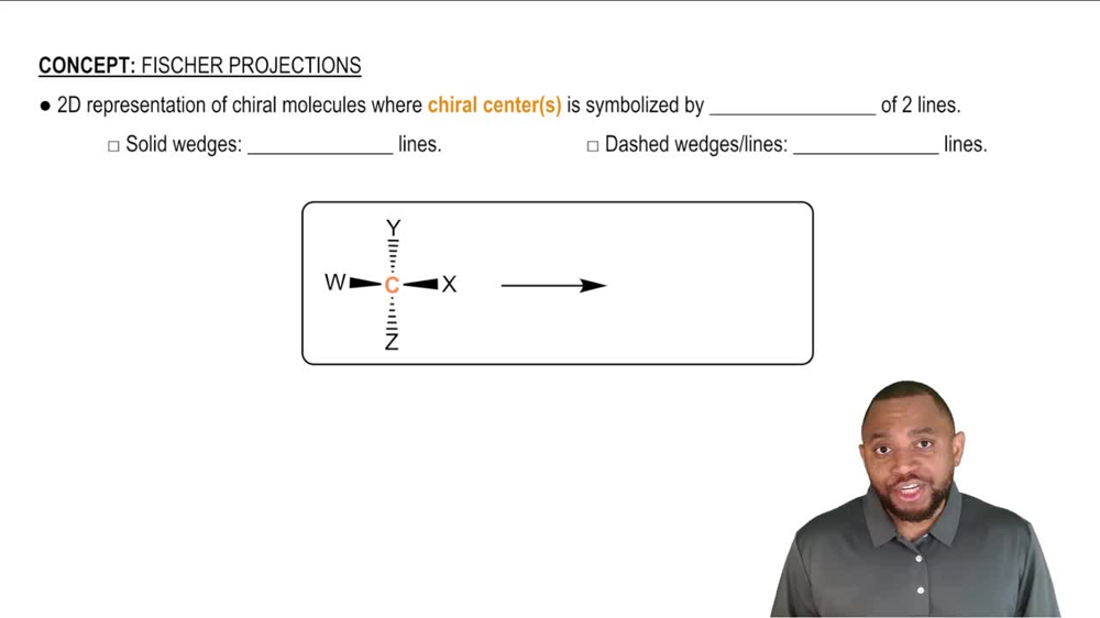 Fischer Projections Concept 1