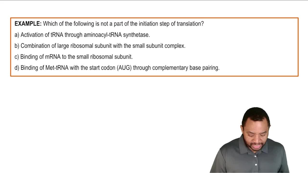 Translation: Protein Synthesis Example 1