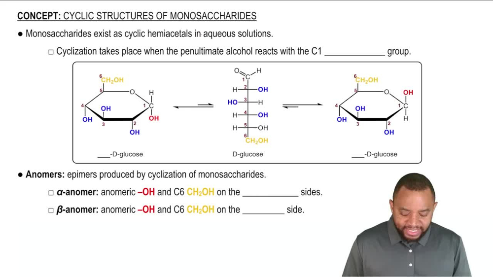 Cyclic Structures of Monosaccharides Concept 1