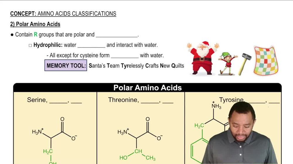 Polar Amino Acids Concept 2