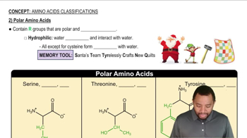Polar Amino Acids Concept 2