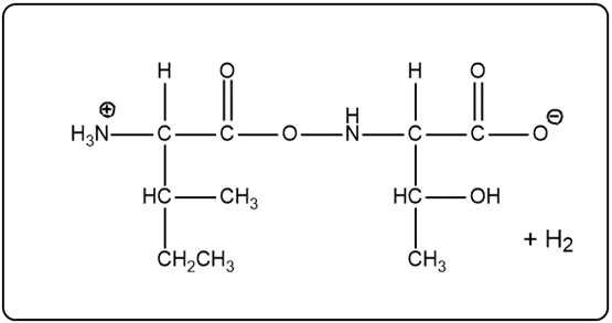 Peptide bond formation with hydrogen gas as a product.