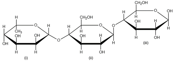 Diagram of a trisaccharide with labeled components for analysis of disaccharides.