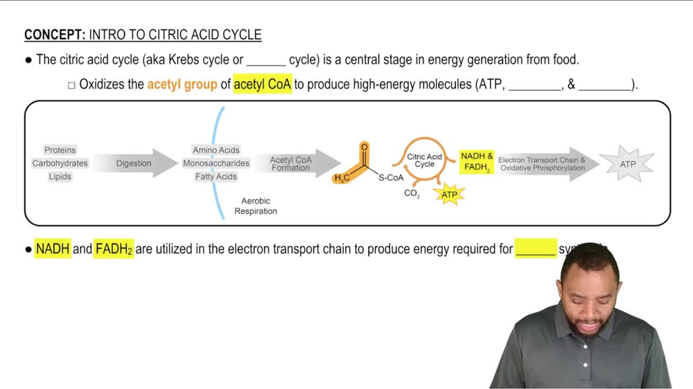 Intro to Citric Acid Cycle Concept 1
