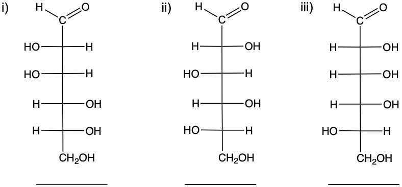 carbohydrate structures