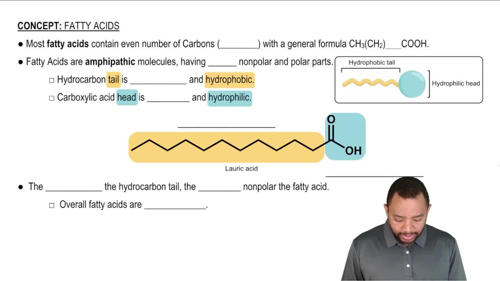 Fatty Acids Concept 1