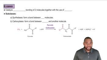 Ligases Concept 9