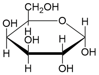 Cyclic structure of a monosaccharide for classification as α- or β-anomer.