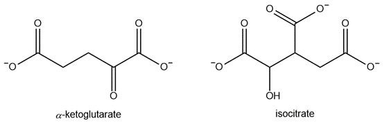 Chemical structures of α-ketoglutarate and isocitrate, relevant to enzyme inhibition.