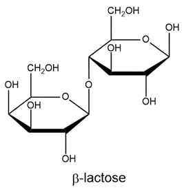 Haworth structure of β-lactose, showing its molecular arrangement.