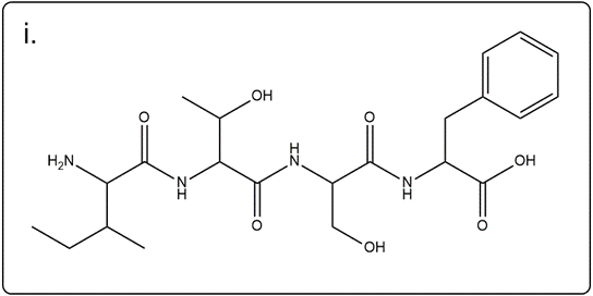 Line-angle structure of isoleucylthreonylserinylphenylalanine for educational purposes.
