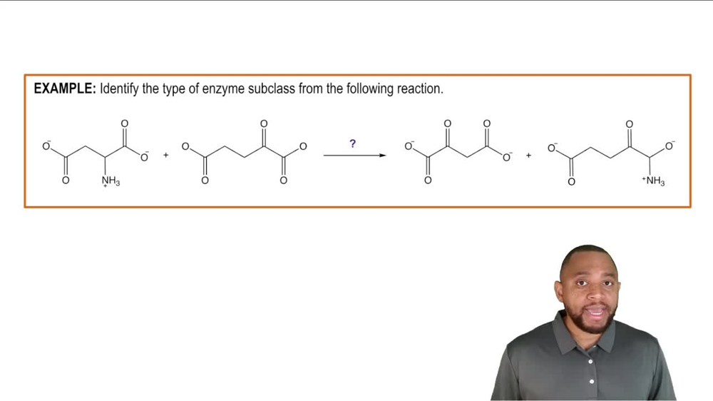 Transferases Example 4