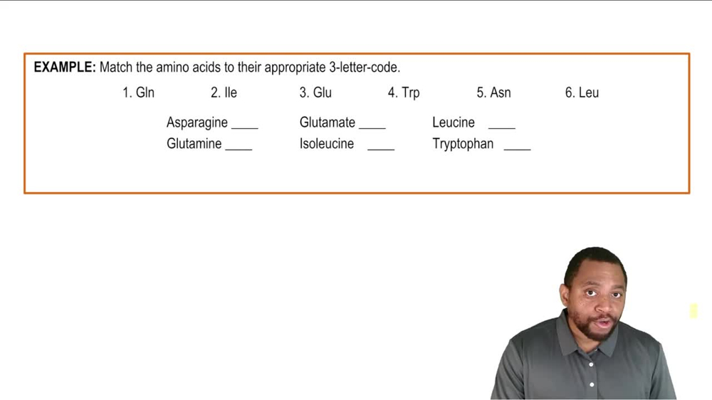 Amino Acid Three Letter Codes Example 1