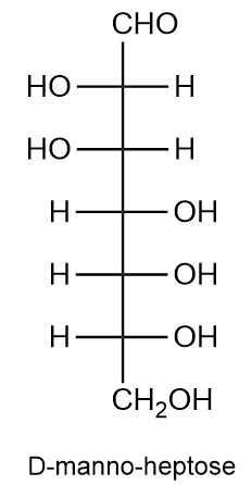 Structure of D-manno-heptose, a seven-carbon sugar.