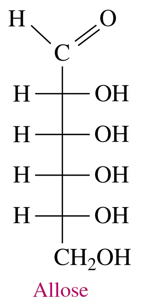 Fischer projection of Allose, a carbohydrate, showing its structural formula with hydroxyl groups.