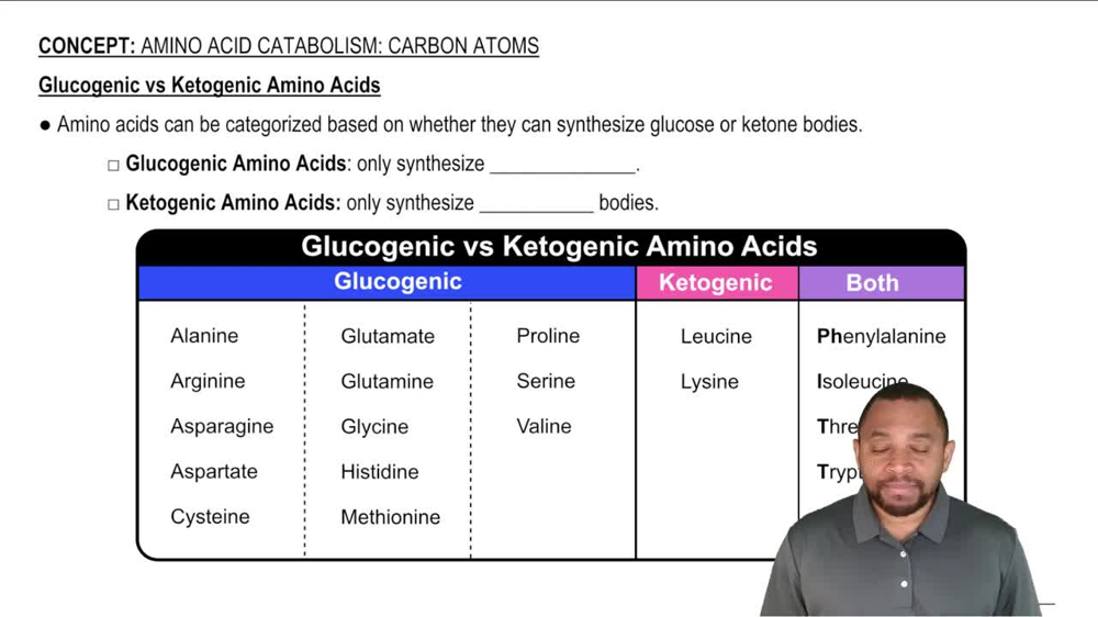 Amino Acid Catabolism: Carbon Atoms Concept 1