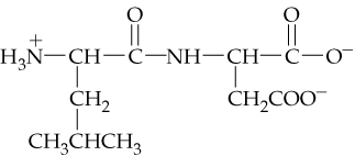 Diagram of a dipeptide and tripeptide showing peptide bonds, α-carbons, and R groups with annotations for their properties.