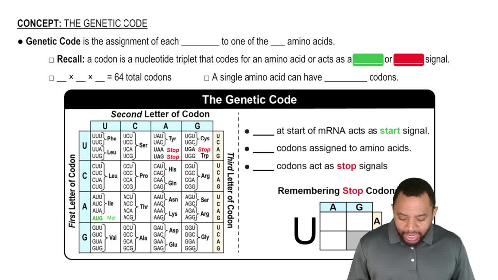 The Genetic Code Concept 1