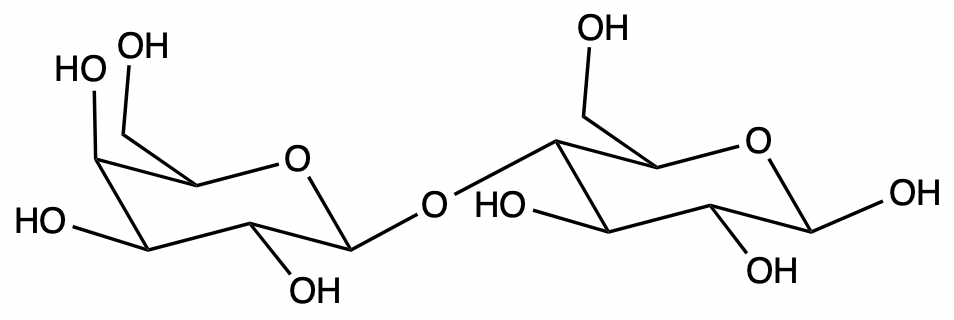 Chemical structure of lactose showing glycosidic bonds for educational purposes.