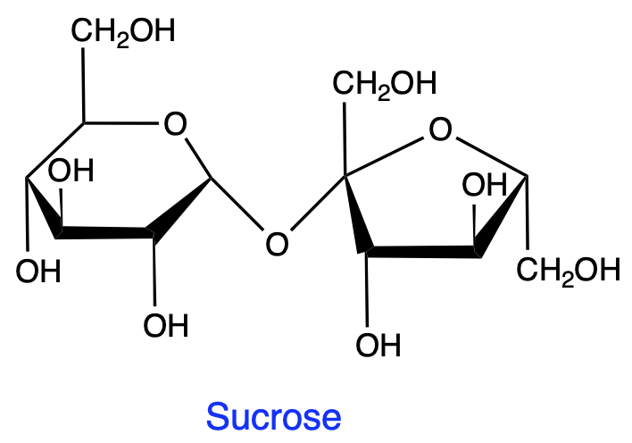 Chemical structure of sucrose, a disaccharide, showing its molecular components.