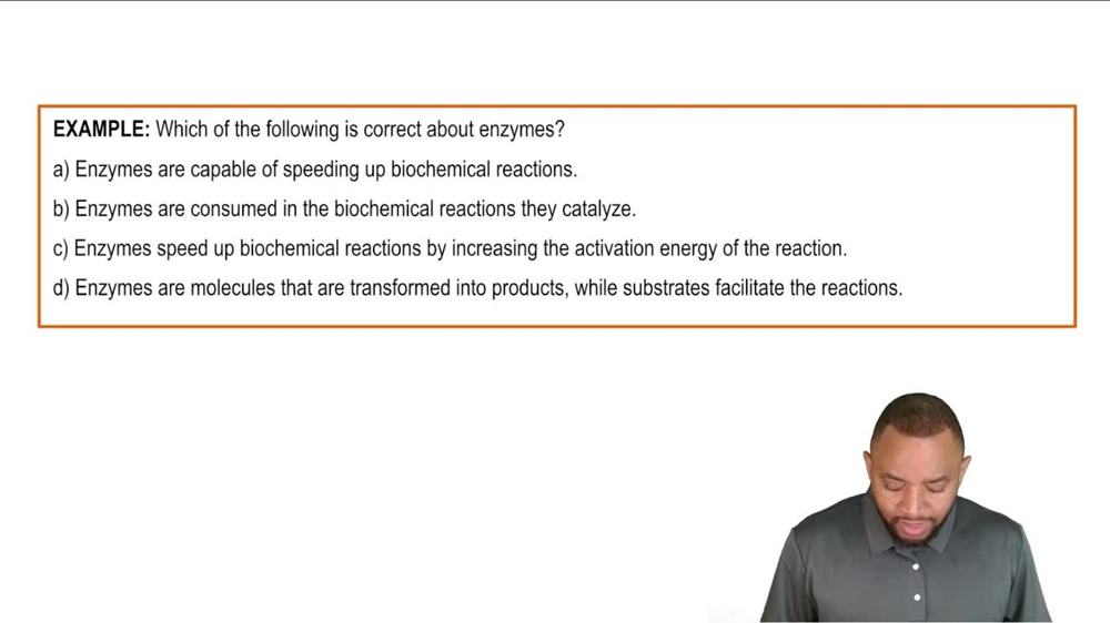 Intro to Enzymes Example 1
