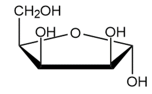 Cyclic structure of a monosaccharide for identifying α- or β-anomer in carbohydrates.