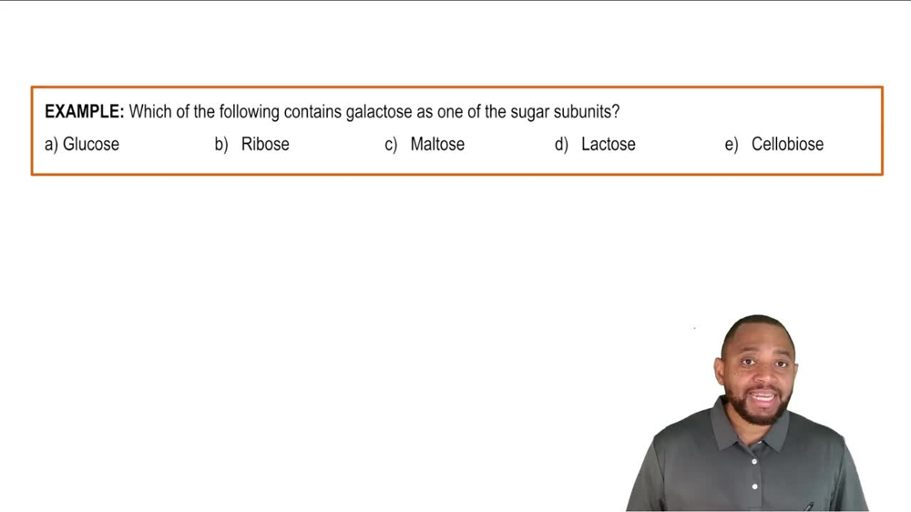 Types of Disaccharides Example 1