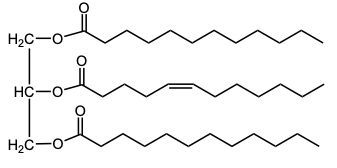 triacylglycerol