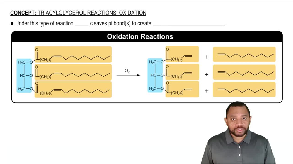 Triacylglycerol Reactions: Oxidation Concept 1