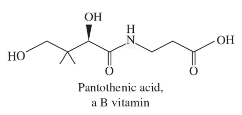 Chemical structure of pantothenic acid, labeled as a B vitamin, with hydroxyl and amine groups.