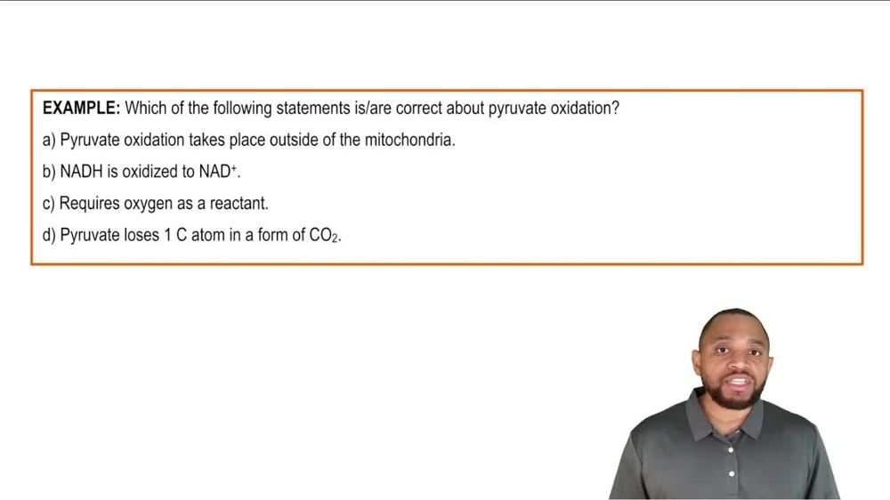 Pyruvate Oxidation Example 1
