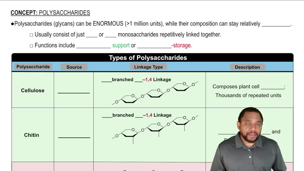 Polysaccharides Concept 1
