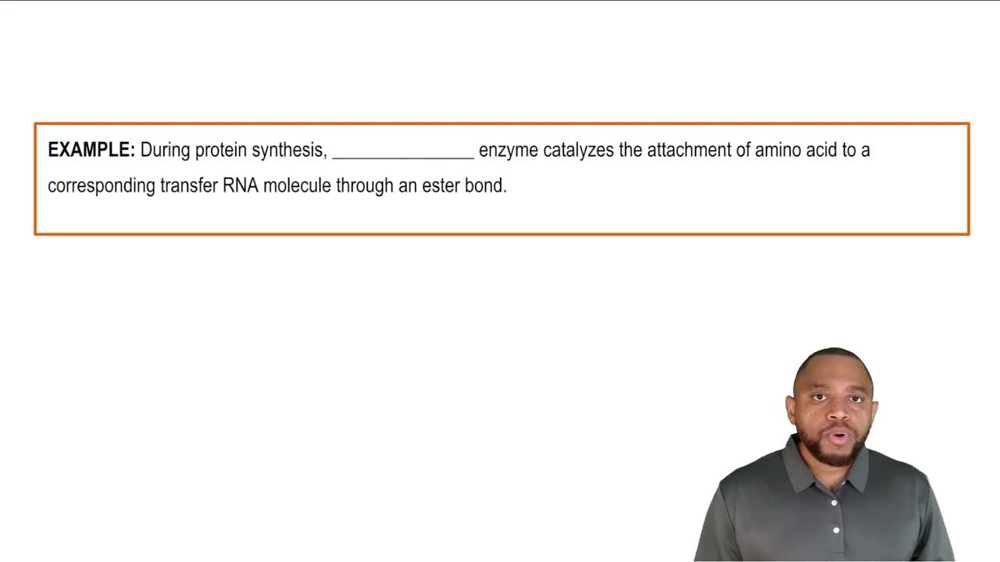 Ligases Example 8