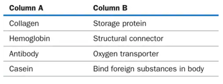 Table matching proteins in Column A with their functions in Column B, including collagen, hemoglobin, antibody, and casein.