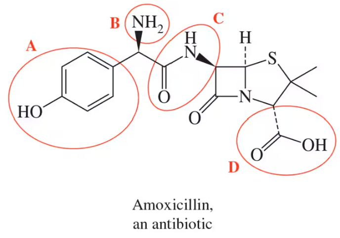 Molecule of Amoxicillin with four functional groups labeled A, B, C, and D highlighted in red circles.