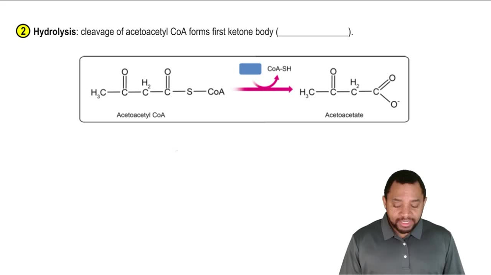 Ketone Bodies Concept 5