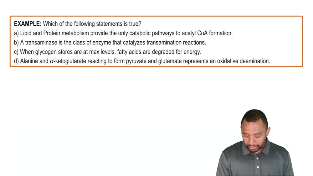 Review of Metabolism Example 1