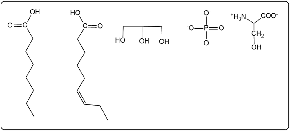 Products of base hydrolysis of phosphatidylserine with hydroxyl groups.