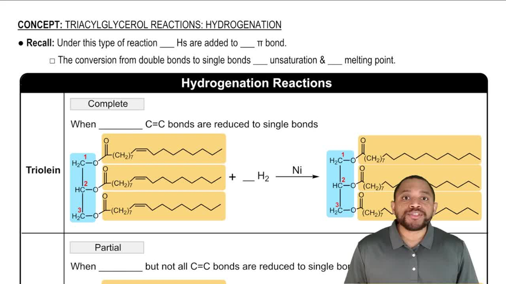 Triacylglycerol Reactions: Hydrogenation Concept 1