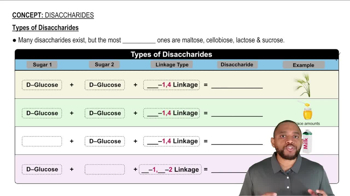 Types of Disaccharides Concept 1